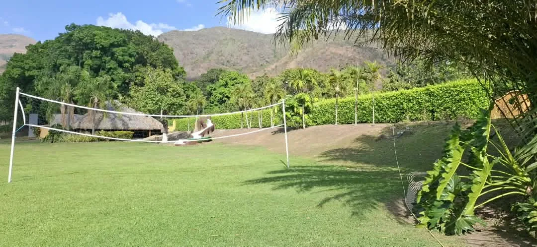 Cancha de voleibol sobre césped en el campamento