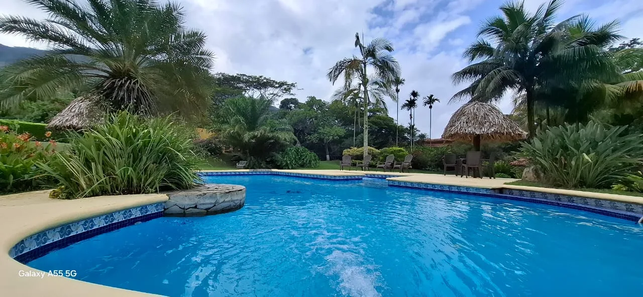 Piscina rodeada de vegetación y palmeras
